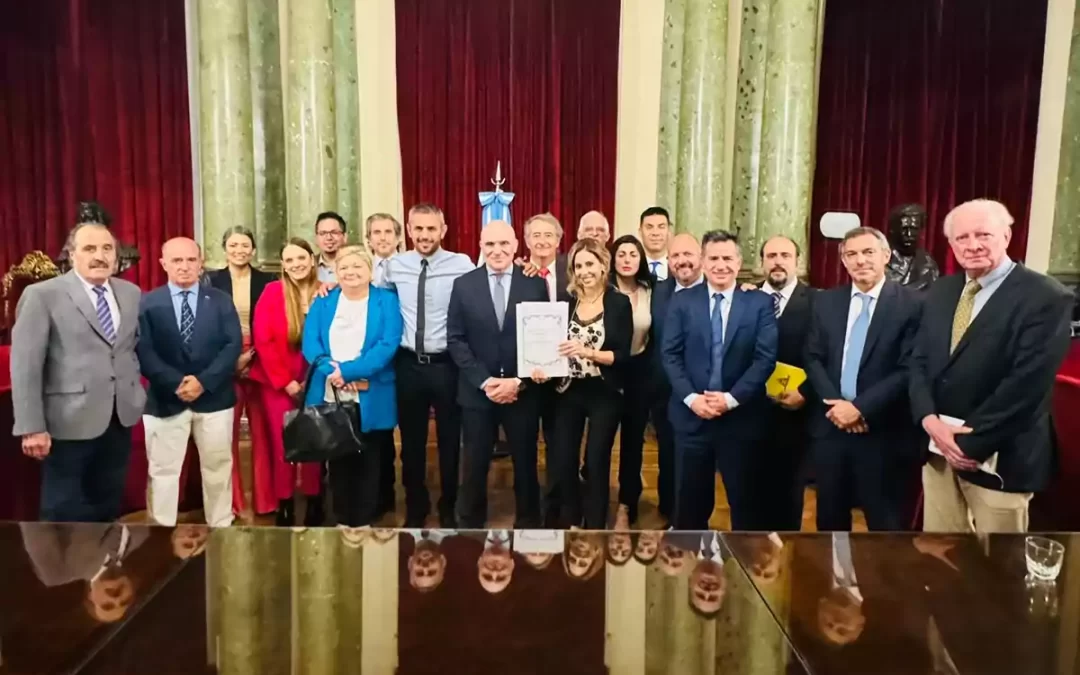 Ley RIGI para PyMEs: Incentivos fiscales y laborales para inversiones productivas