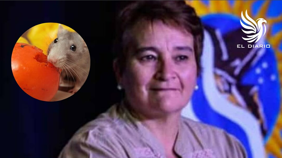 Mónica Gutiérrez, ultra kirchnerista y funcionaria de Grasso, denunciada por entregar alimentos con excrementos de ratas.