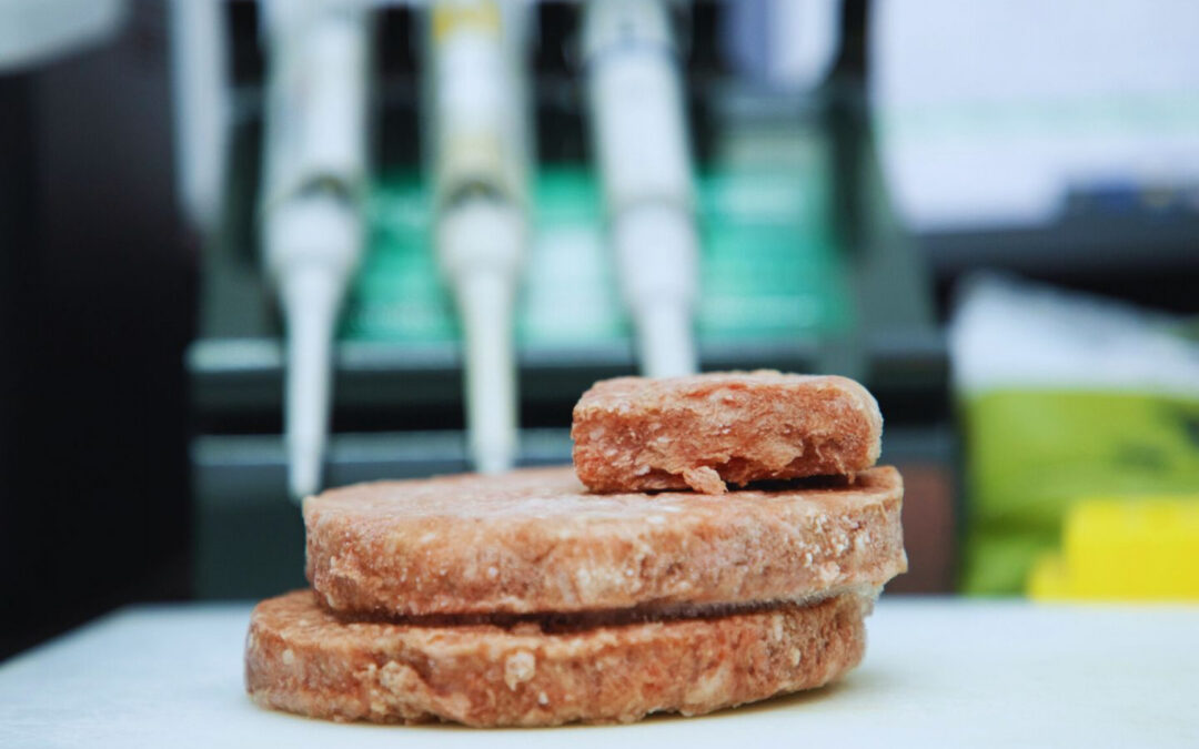 Carne de bufalo: alternativa saludable y nutritiva para la Argentina