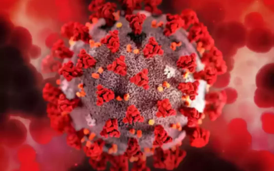 Nuevo coronavirus similar al COVID-19 hallado en murciélagos preocupa a científicos