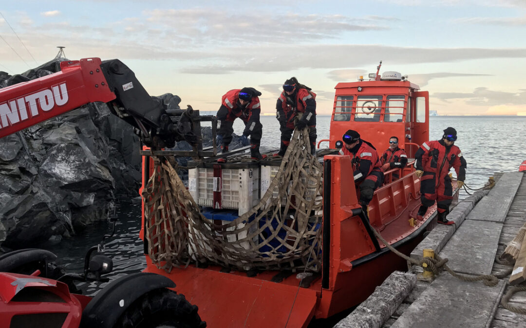 ARA Irizar reabastece bases antárticas: Petrel y Esperanza impulsan ciencia y conectividad 4G