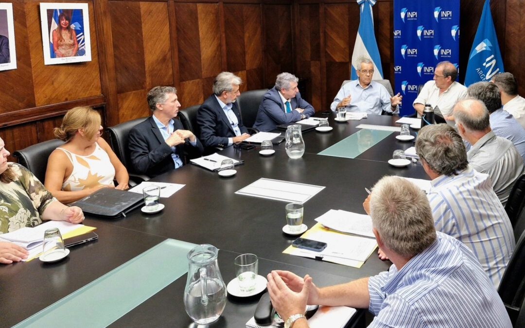 SIGEN e INPI: Revisión y Fortalecimiento del Control Interno en 2024