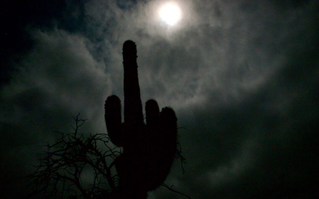 Eclipse Lunar Total Iluminó Los Cardones: Cielos Despejados y Astronomía en Salta